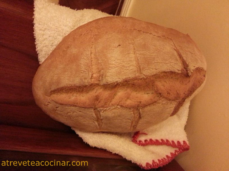 PAN RÁPIDO CON THERMOMIX